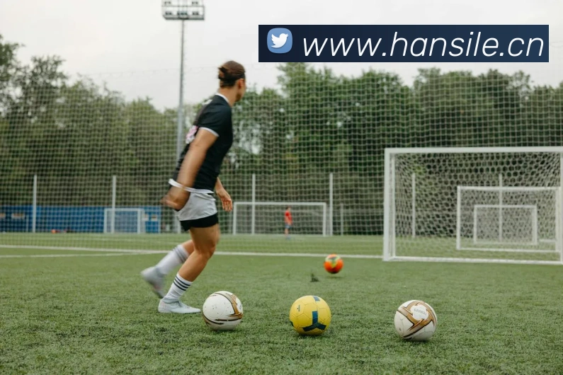 开云app登录入口网址平台生态图